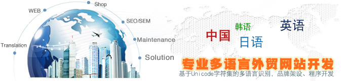 网站制作,多语言网站开发